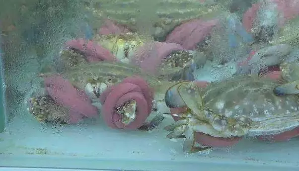永輝、盒馬生鮮均被曝