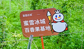今日上市！覆蓋全球六大洲38個國家，“雪王”的采購網(wǎng)到底有多牛？