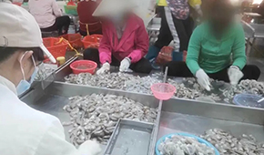 3·15晚會(huì)曝光凍蝦仁超量添加保水劑，相關(guān)企業(yè)產(chǎn)品下架